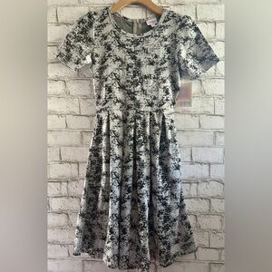 NEW!!! Stretchy Pocket Dress LuLaRoe Amelia size XS Silver Back Zipper